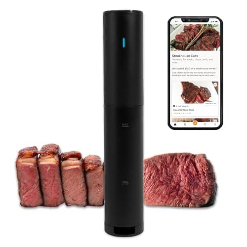 Anova Anova Precision Cooker Mini, 850 W